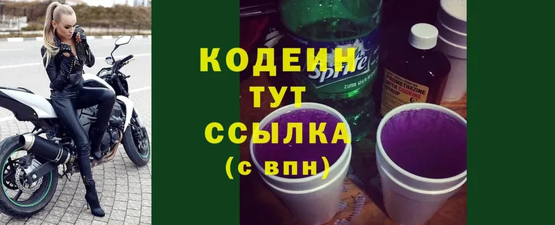 блэк спрут ссылка  Богданович  Кодеин Purple Drank 